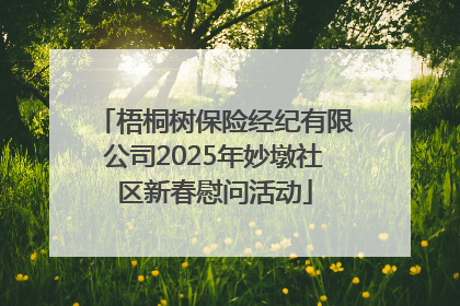 梧桐树保险经纪有限公司2025年妙墩社区新春慰问活动
