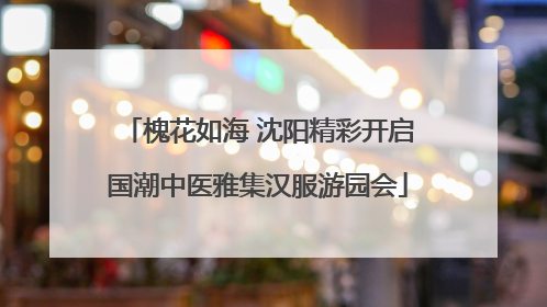 槐花如海 沈阳精彩开启国潮中医雅集汉服游园会