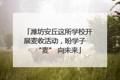 潍坊安丘这所学校开展麦收活动，盼学子 “麦” 向未来