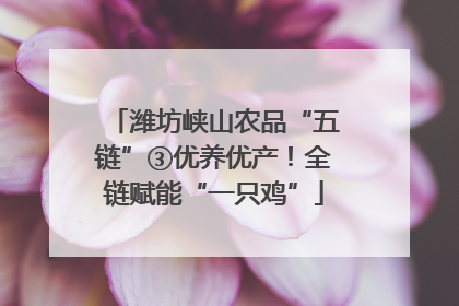 潍坊峡山农品“五链”③优养优产！全链赋能“一只鸡”