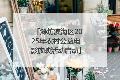 潍坊滨海区2025年农村公益电影放映活动启动