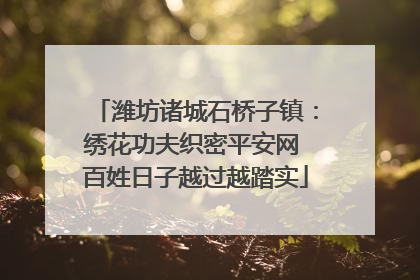 潍坊诸城石桥子镇：绣花功夫织密平安网 百姓日子越过越踏实