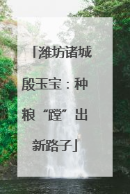 潍坊诸城殷玉宝：种粮“蹚”出新路子