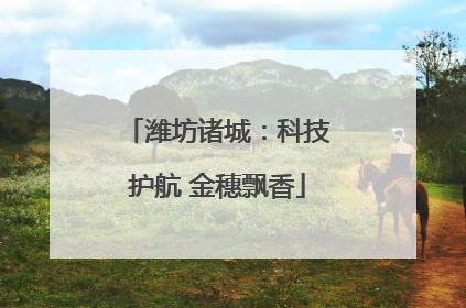 潍坊诸城：科技护航 金穗飘香