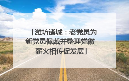 潍坊诸城：老党员为新党员佩戴并整理党徽 薪火相传促发展