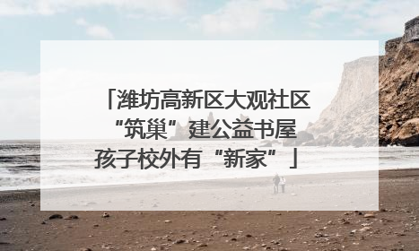 潍坊高新区大观社区“筑巢”建公益书屋 孩子校外有“新家”
