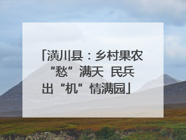 潢川县：乡村果农“愁”满天  民兵出“机”情满园