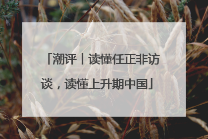 潮评丨读懂任正非访谈，读懂上升期中国