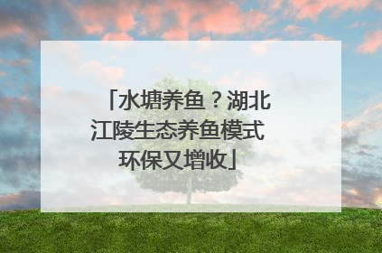 水塘养鱼？湖北江陵生态养鱼模式环保又增收
