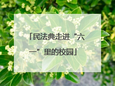 民法典走进“六一”里的校园