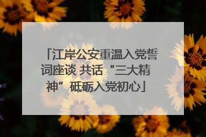 江岸公安重温入党誓词座谈 共话“三大精神”砥砺入党初心