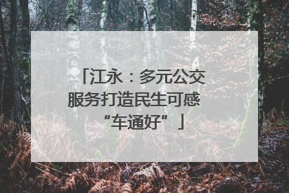 江永：多元公交服务打造民生可感“车通好”