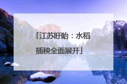 江苏盱眙：水稻插秧全面展开