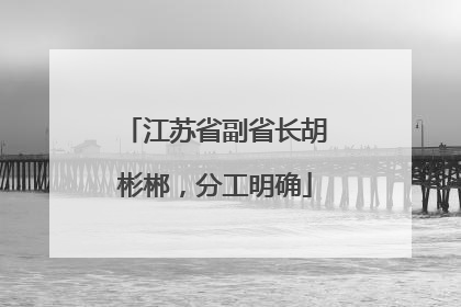 江苏省副省长胡彬郴，分工明确