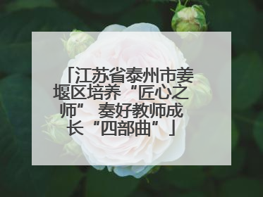 江苏省泰州市姜堰区培养“匠心之师” 奏好教师成长“四部曲”