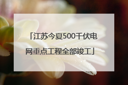 江苏今夏500千伏电网重点工程全部竣工
