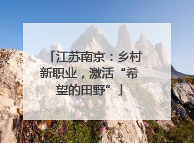 江苏南京：乡村新职业，激活“希望的田野”