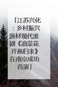 江苏兴化：乡村振兴题材现代淮剧《油菜花开燕归来》在南京成功首演