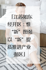 江苏如东经开区：惟“新”图强以“新”提质推进产业强区