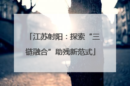 江苏射阳：探索“三链融合”助残新范式