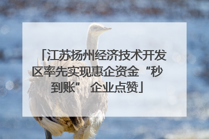 江苏扬州经济技术开发区率先实现惠企资金“秒到账” 企业点赞