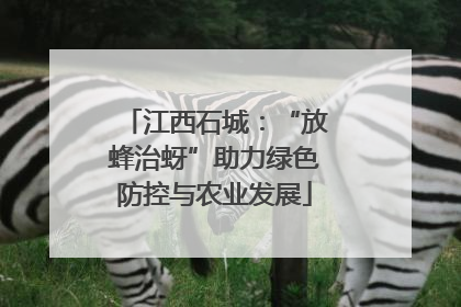 江西石城：“放蜂治蚜”助力绿色防控与农业发展