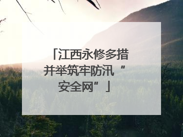 江西永修多措并举筑牢防汛“安全网”
