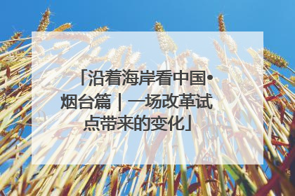 沿着海岸看中国•烟台篇｜一场改革试点带来的变化