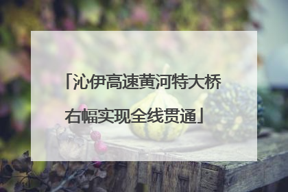 沁伊高速黄河特大桥右幅实现全线贯通