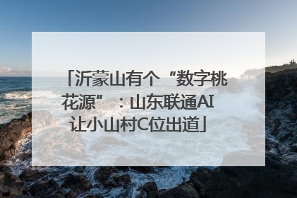 沂蒙山有个“数字桃花源”：山东联通AI让小山村C位出道