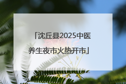 沈丘县2025中医养生夜市火热开市