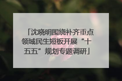 沈晓明围绕补齐重点领域民生短板开展“十五五”规划专题调研