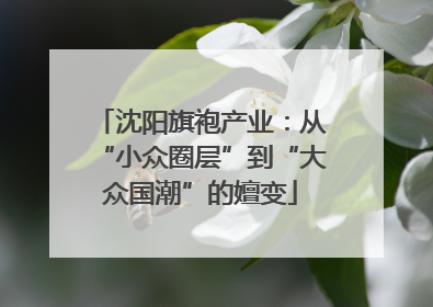 沈阳旗袍产业：从“小众圈层”到“大众国潮”的嬗变
