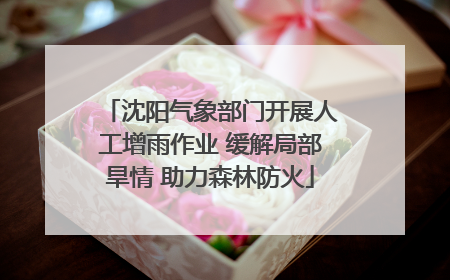 沈阳气象部门开展人工增雨作业 缓解局部旱情 助力森林防火
