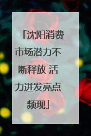 沈阳消费市场潜力不断释放 活力迸发亮点频现