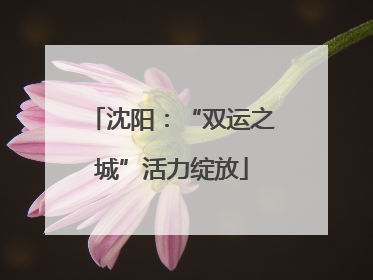 沈阳：“双运之城”活力绽放