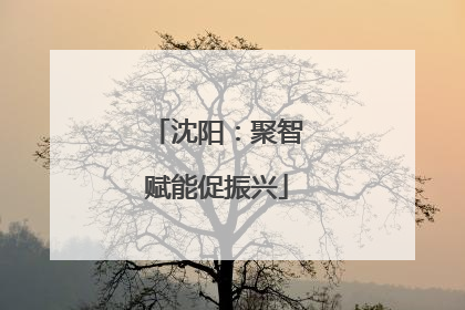 沈阳：聚智赋能促振兴