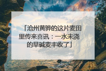 沧州黄骅的这片麦田里传来喜讯：一水未浇的旱碱麦丰收了