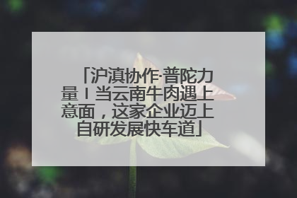 沪滇协作·普陀力量〡当云南牛肉遇上意面，这家企业迈上自研发展快车道