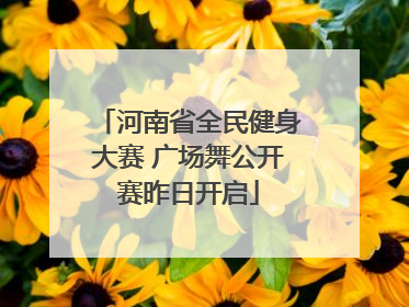 河南省全民健身大赛 广场舞公开赛昨日开启