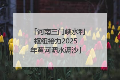 河南三门峡水利枢纽接力2025年黄河调水调沙