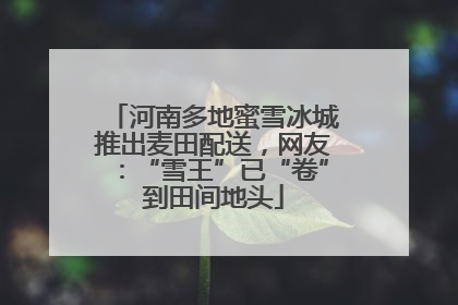 河南多地蜜雪冰城推出麦田配送，网友：“雪王”已“卷”到田间地头