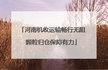 河南机收运输畅行无阻 颗粒归仓保障有力