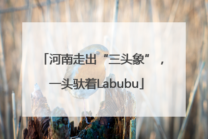 河南走出“三头象”，一头驮着Labubu