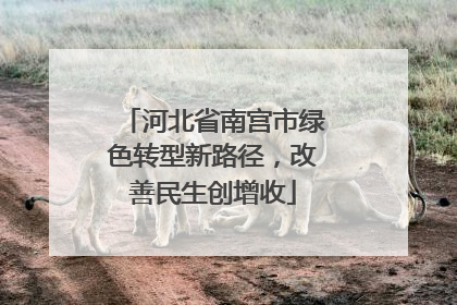 河北省南宫市绿色转型新路径，改善民生创增收