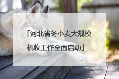 河北省冬小麦大规模机收工作全面启动