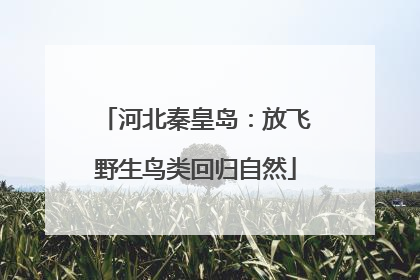 河北秦皇岛：放飞野生鸟类回归自然