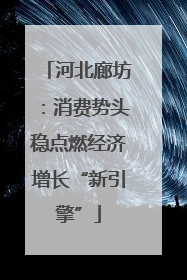 河北廊坊：消费势头稳点燃经济增长“新引擎”