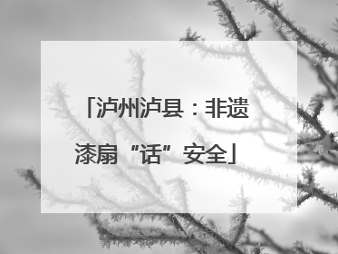 泸州泸县：非遗漆扇“话”安全