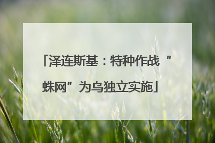 泽连斯基：特种作战“蛛网”为乌独立实施